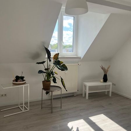 Cozy Work And Stay Pretty Home Chemnitz Ngoại thất bức ảnh