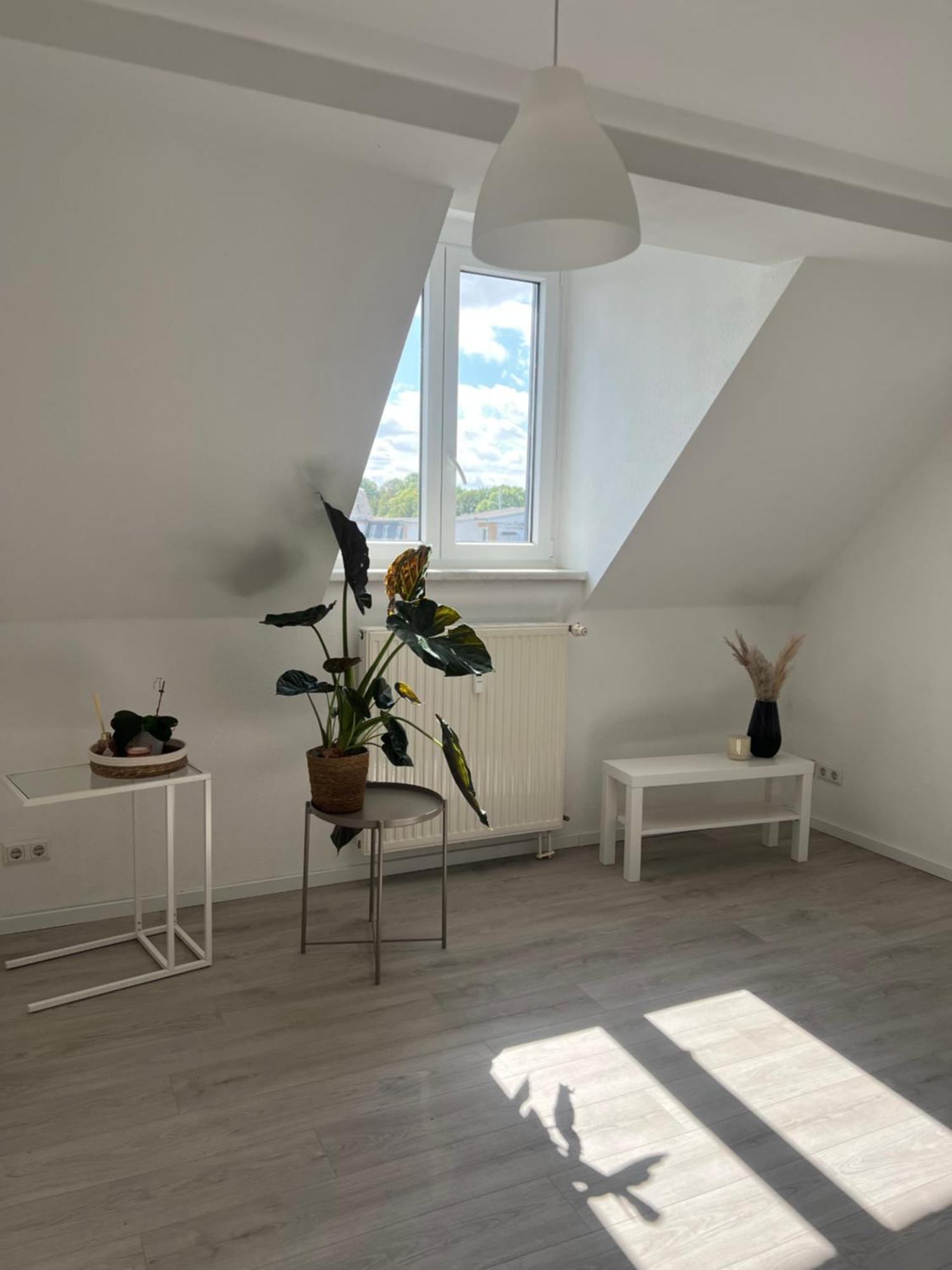 Cozy Work And Stay Pretty Home Chemnitz Ngoại thất bức ảnh